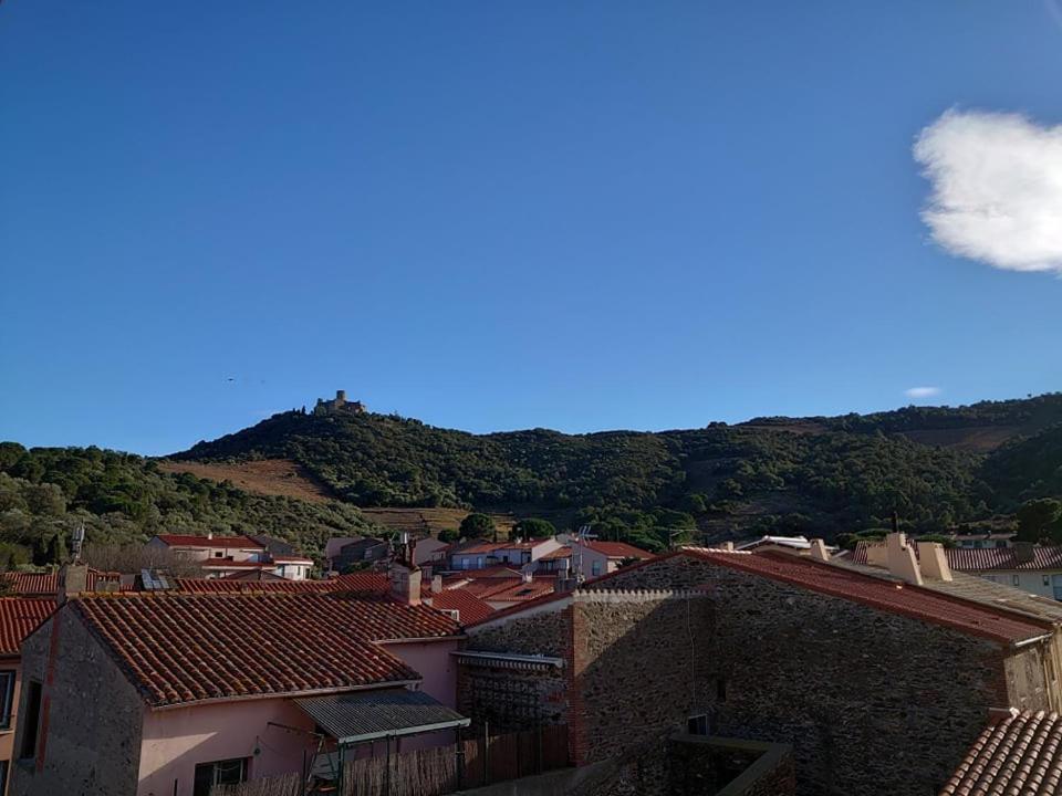 5Demo54 - Appartement Tres Proche Plage Et Toutes Commodites Collioure Exterior foto