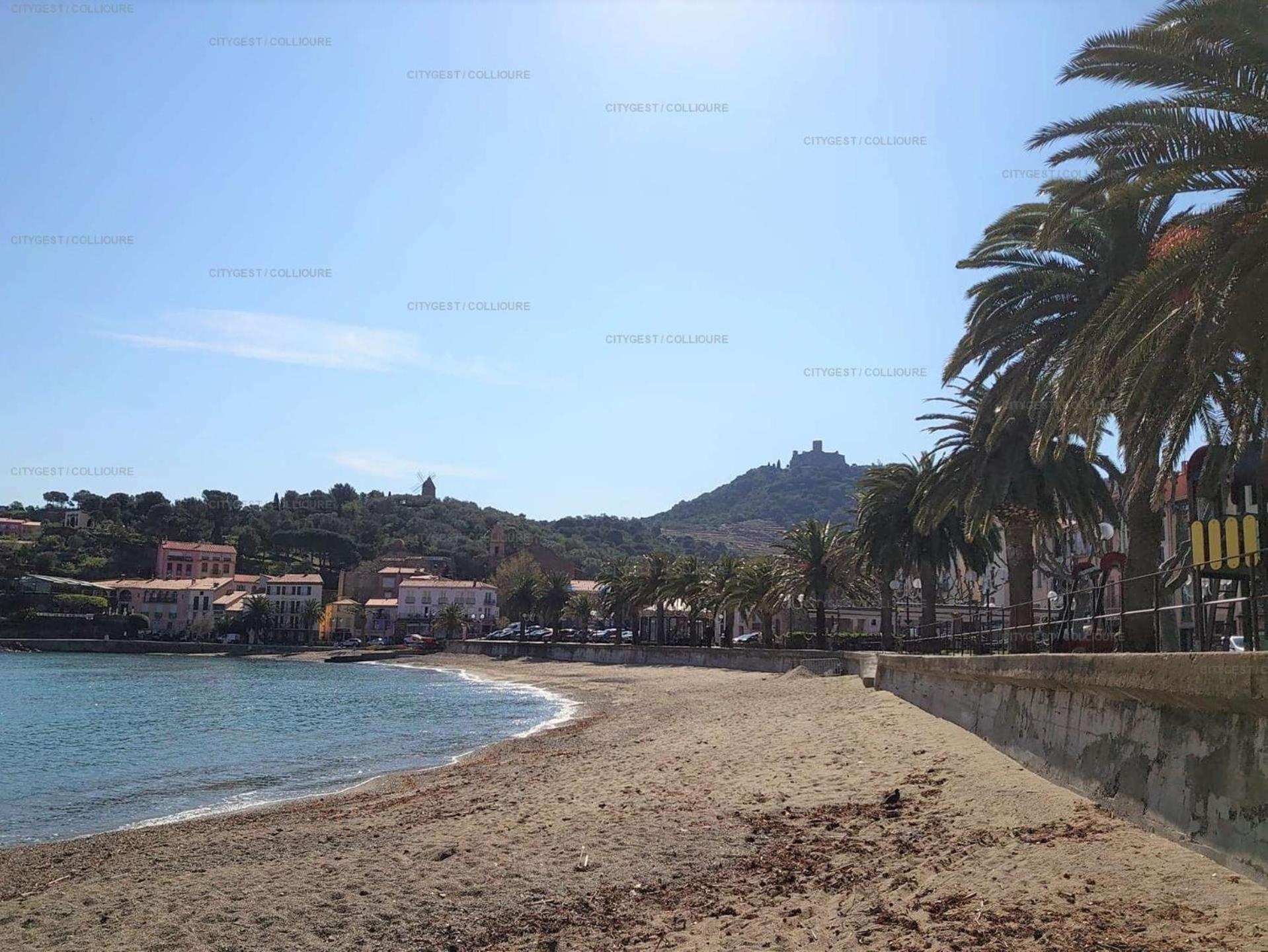 5Demo54 - Appartement Tres Proche Plage Et Toutes Commodites Collioure Exterior foto